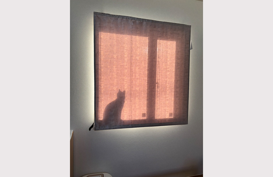 明石市 にゃんこと暮らす平屋の家5枚目の写真